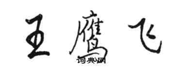 骆恒光王鹰飞行书个性签名怎么写