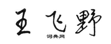 骆恒光王飞野行书个性签名怎么写