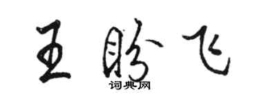 骆恒光王盼飞行书个性签名怎么写