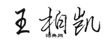 骆恒光王柏凯行书个性签名怎么写