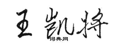 骆恒光王凯将行书个性签名怎么写