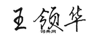 骆恒光王领华行书个性签名怎么写