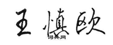 骆恒光王慎欧行书个性签名怎么写