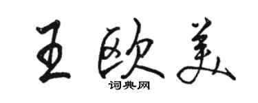 骆恒光王欧美行书个性签名怎么写