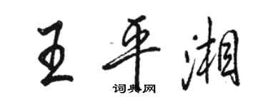 骆恒光王平湘行书个性签名怎么写