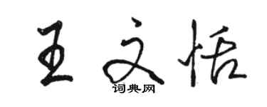 骆恒光王文恬行书个性签名怎么写