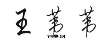 骆恒光王苇苇行书个性签名怎么写
