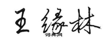 骆恒光王缘林行书个性签名怎么写