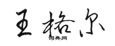 骆恒光王格尔行书个性签名怎么写