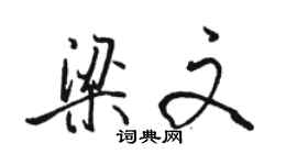 骆恒光梁文行书个性签名怎么写