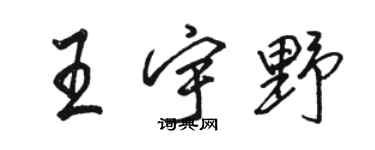 骆恒光王宇野行书个性签名怎么写
