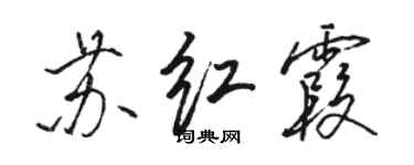 骆恒光苏红霞行书个性签名怎么写