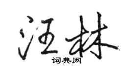 骆恒光汪林行书个性签名怎么写