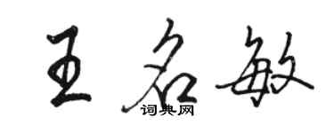 骆恒光王名敏行书个性签名怎么写
