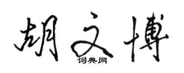 骆恒光胡文博行书个性签名怎么写
