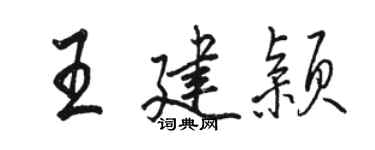 骆恒光王建颖行书个性签名怎么写