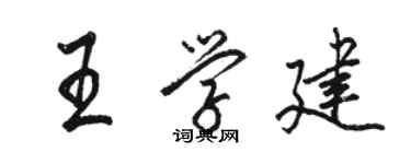 骆恒光王学建行书个性签名怎么写