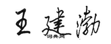 骆恒光王建渤行书个性签名怎么写