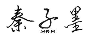 骆恒光秦子墨行书个性签名怎么写