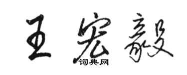 骆恒光王宏毅行书个性签名怎么写