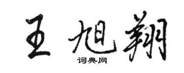 骆恒光王旭翔行书个性签名怎么写