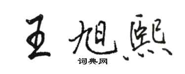 骆恒光王旭熙行书个性签名怎么写