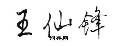 骆恒光王仙锋行书个性签名怎么写
