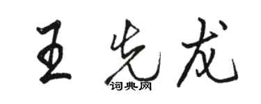 骆恒光王先龙行书个性签名怎么写