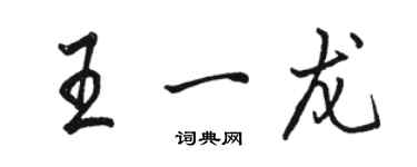 骆恒光王一龙行书个性签名怎么写