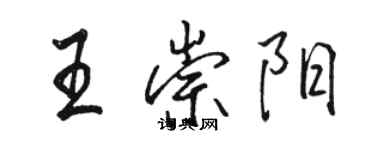 骆恒光王崇阳行书个性签名怎么写