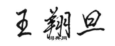 骆恒光王翔旦行书个性签名怎么写