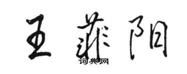 骆恒光王菲阳行书个性签名怎么写