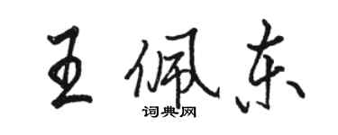 骆恒光王佩东行书个性签名怎么写