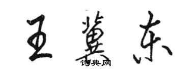 骆恒光王冀东行书个性签名怎么写