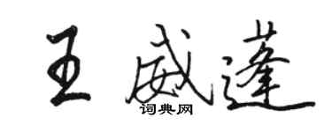 骆恒光王威蓬行书个性签名怎么写