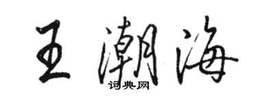 骆恒光王潮海行书个性签名怎么写