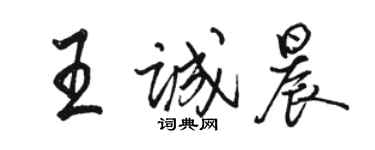 骆恒光王诚晨行书个性签名怎么写