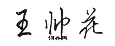骆恒光王帅花行书个性签名怎么写