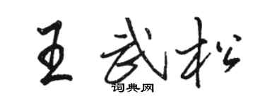 骆恒光王武松行书个性签名怎么写
