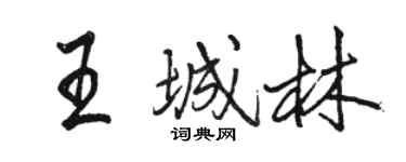 骆恒光王城林行书个性签名怎么写