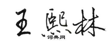 骆恒光王熙林行书个性签名怎么写