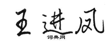骆恒光王进凤行书个性签名怎么写