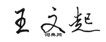 骆恒光王文起行书个性签名怎么写