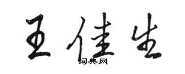 骆恒光王佳生行书个性签名怎么写