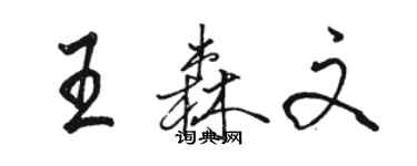 骆恒光王森文行书个性签名怎么写