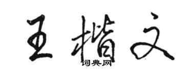 骆恒光王楷文行书个性签名怎么写