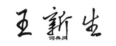 骆恒光王新生行书个性签名怎么写