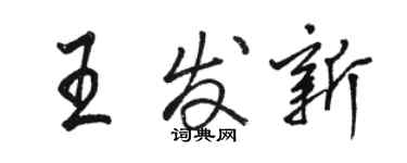 骆恒光王发新行书个性签名怎么写