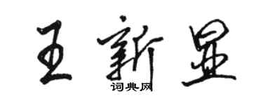 骆恒光王新显行书个性签名怎么写
