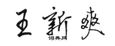 骆恒光王新爽行书个性签名怎么写